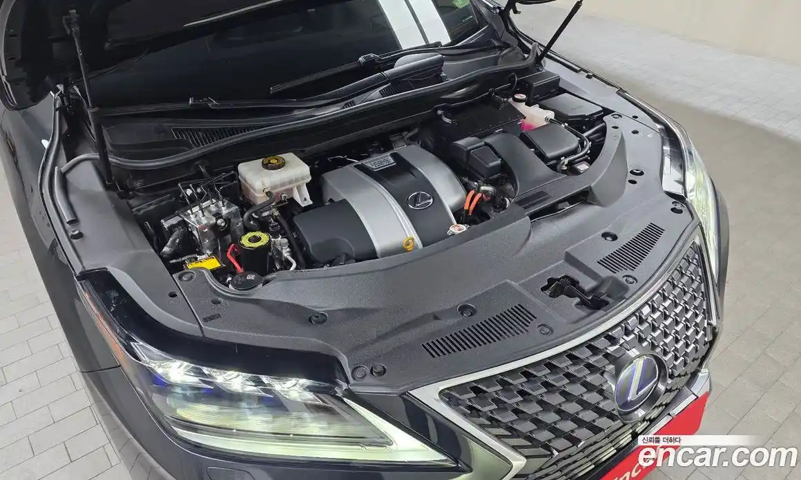 Lexus RX 2020 3.5 гидро в Москве № 825871, фото 6