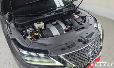 Lexus RX 2020 3.5 гидро в Москве № 825871, миниатюра 6