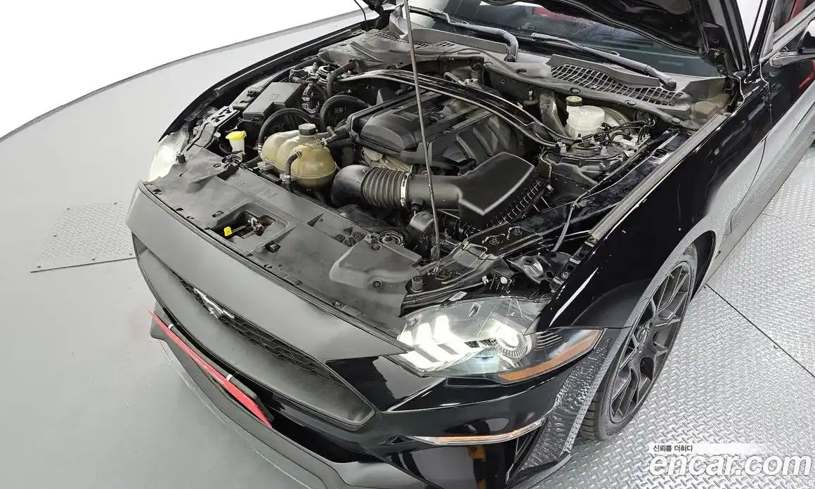 Ford Mustang 2019 2.3 гидро в Москве № 257231, фото 6