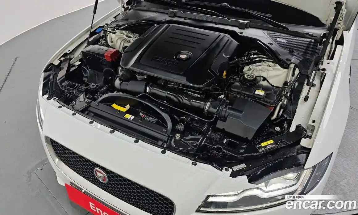 Jaguar XF 2016 2.0 гидро в Москве № 283821, фото 6