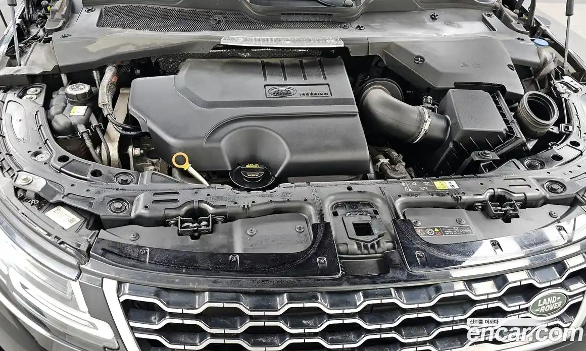 Land Rover Range-Rover Evoque 2021 2.0 гидро в Москве № 824892, фото 6