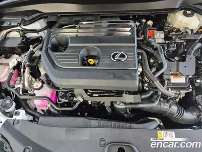 Lexus UX 2024 2.0 вариатор в Москве № 214756, миниатюра 6