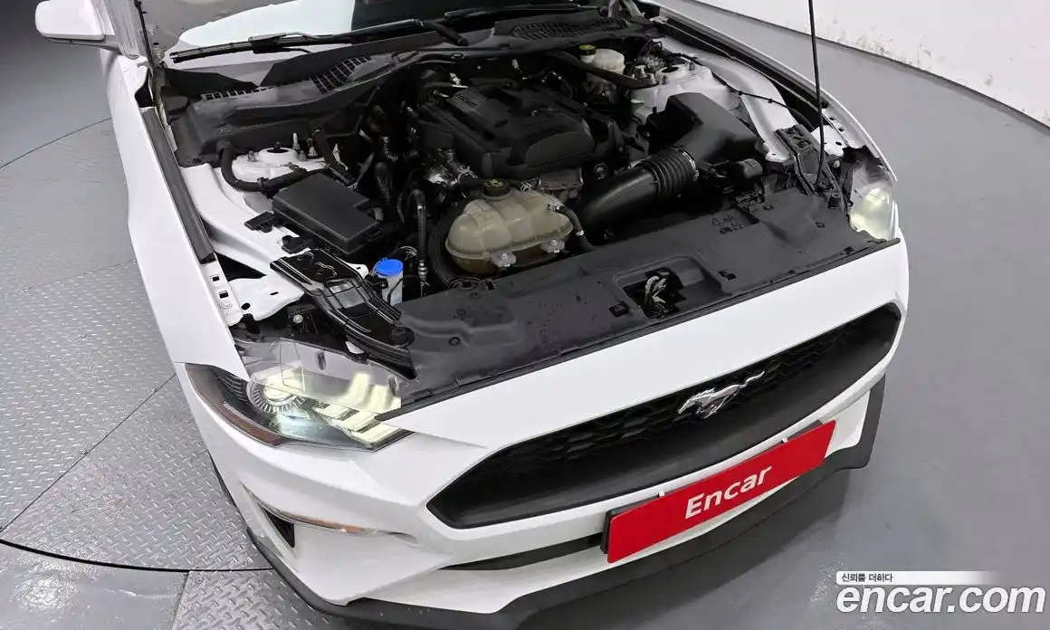 Ford Mustang 2021 2.3 гидро в Москве № 233264, фото 6