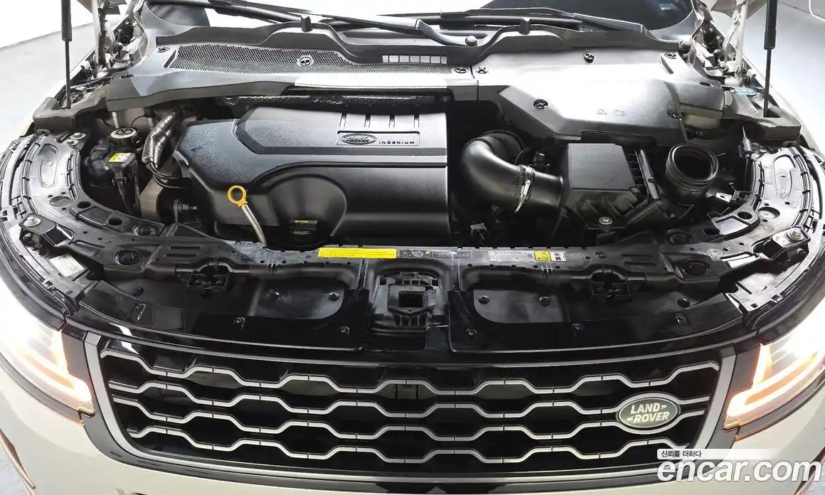 Land Rover Range-Rover Evoque 2019 2.0 гидро в Москве № 546166, фото 5