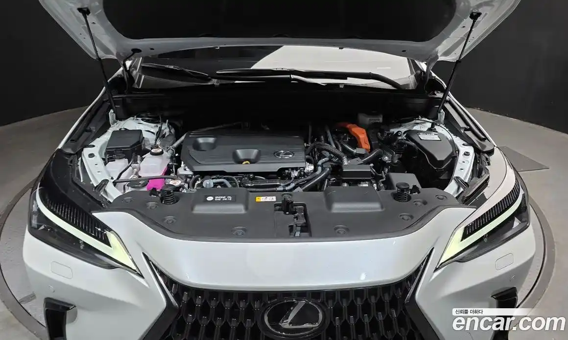 Lexus NX 2024 2.5 гидро в Москве № 167964, фото 6