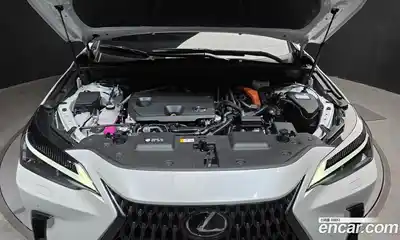Lexus NX 2024 2.5 гидро в Москве № 167964, миниатюра 6