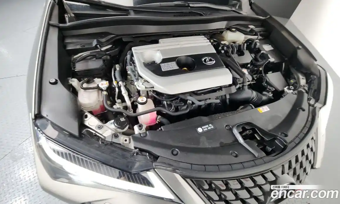 Lexus UX 2021 2.0 гидро в Москве № 198905, фото 6