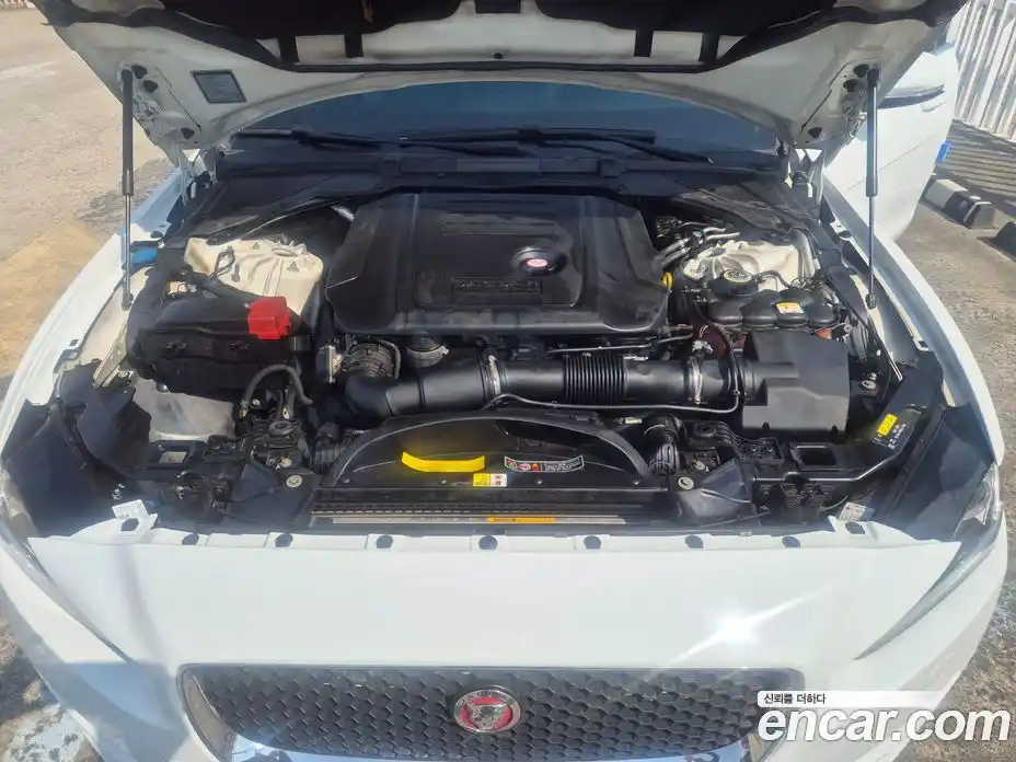 Jaguar XE 2015 2.0 гидро в Москве № 897289, фото 20