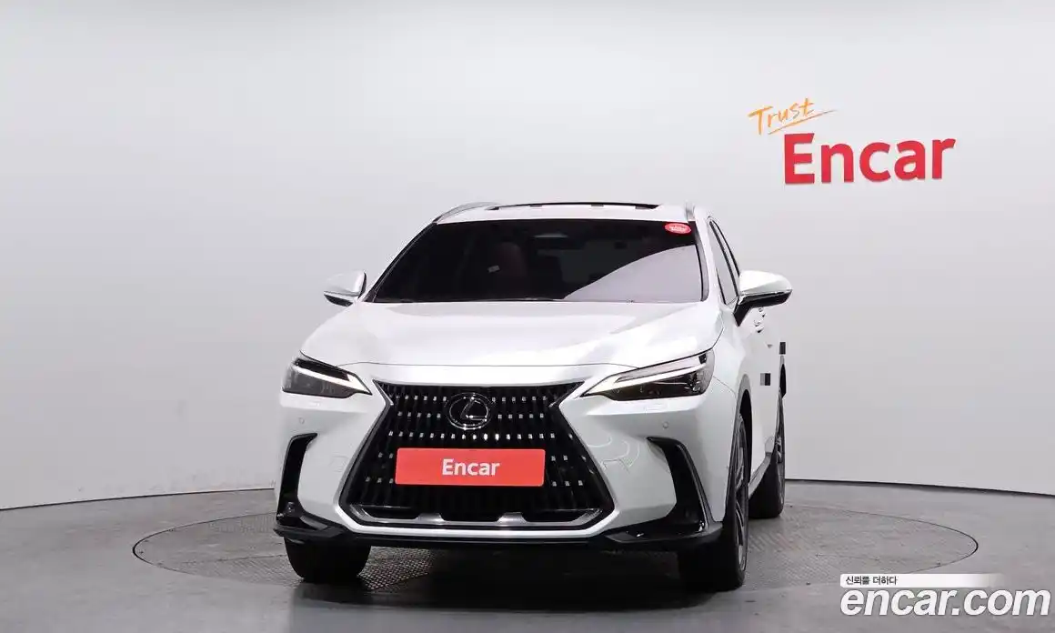 Lexus NX 2024 2.5 гидро в Москве № 168036, фото 3