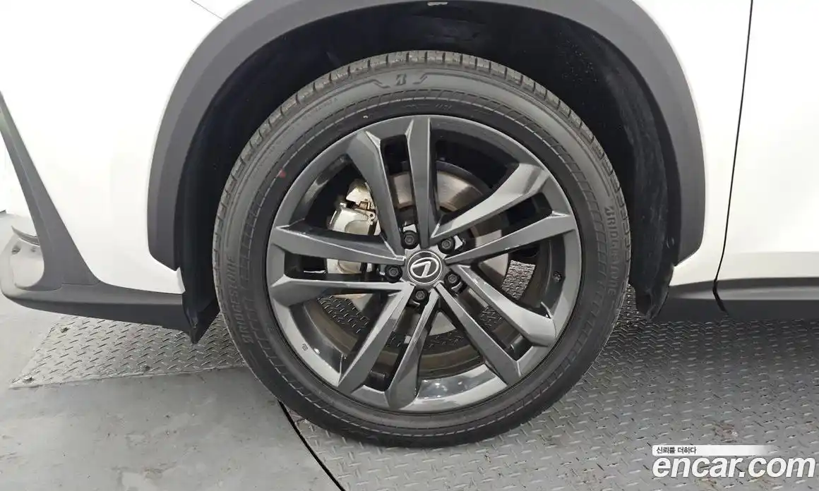 Lexus NX 2024 2.5 гидро в Москве № 168036, фото 5