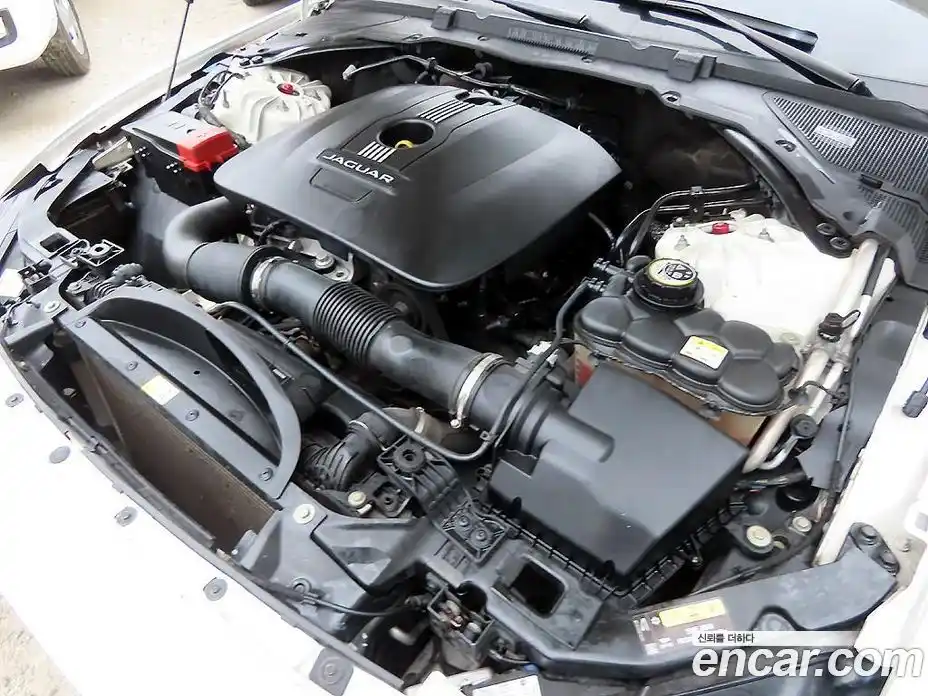 Jaguar XE 2016 2.0 гидро в Москве № 248283, фото 19