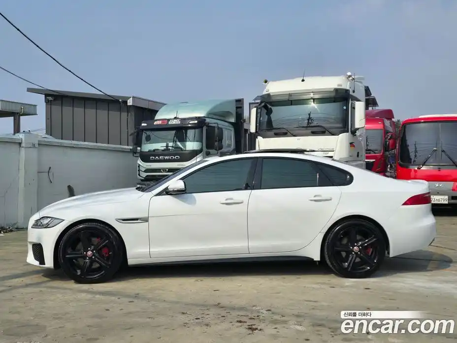 Jaguar XF 2017 3.0 гидро в Москве № 305206, фото 3