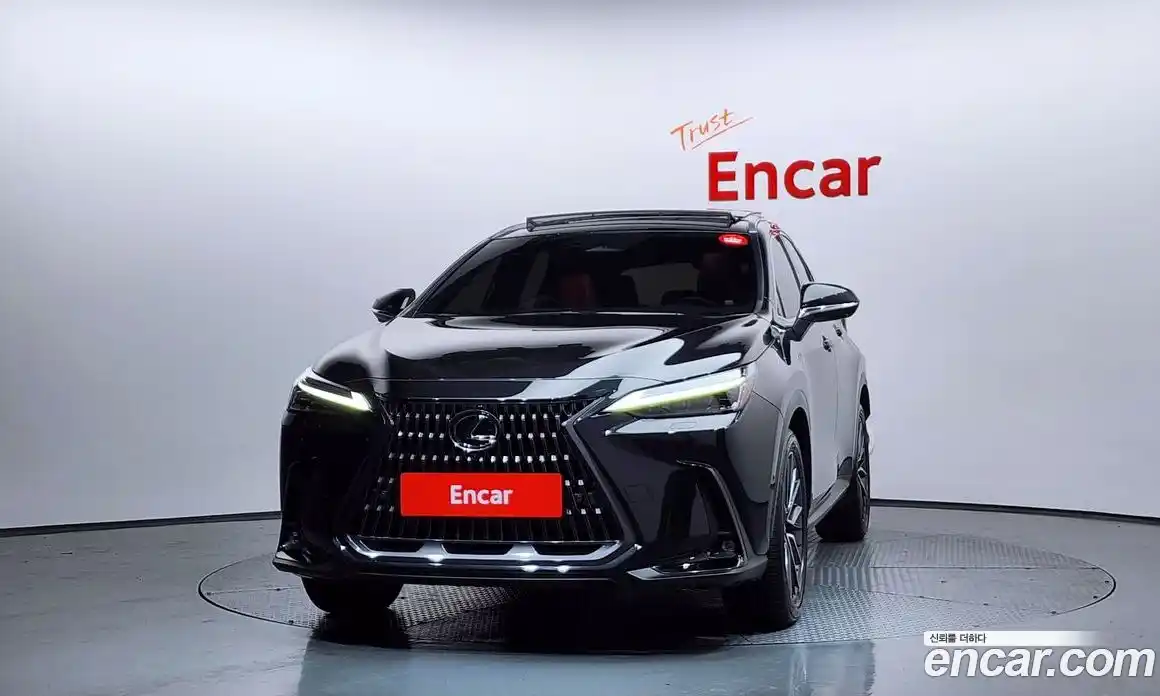 Lexus NX 2024 2.5 гидро в Москве № 499556, фото 3