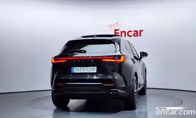Lexus NX 2024 2.5 гидро в Москве № 499556, миниатюра 4