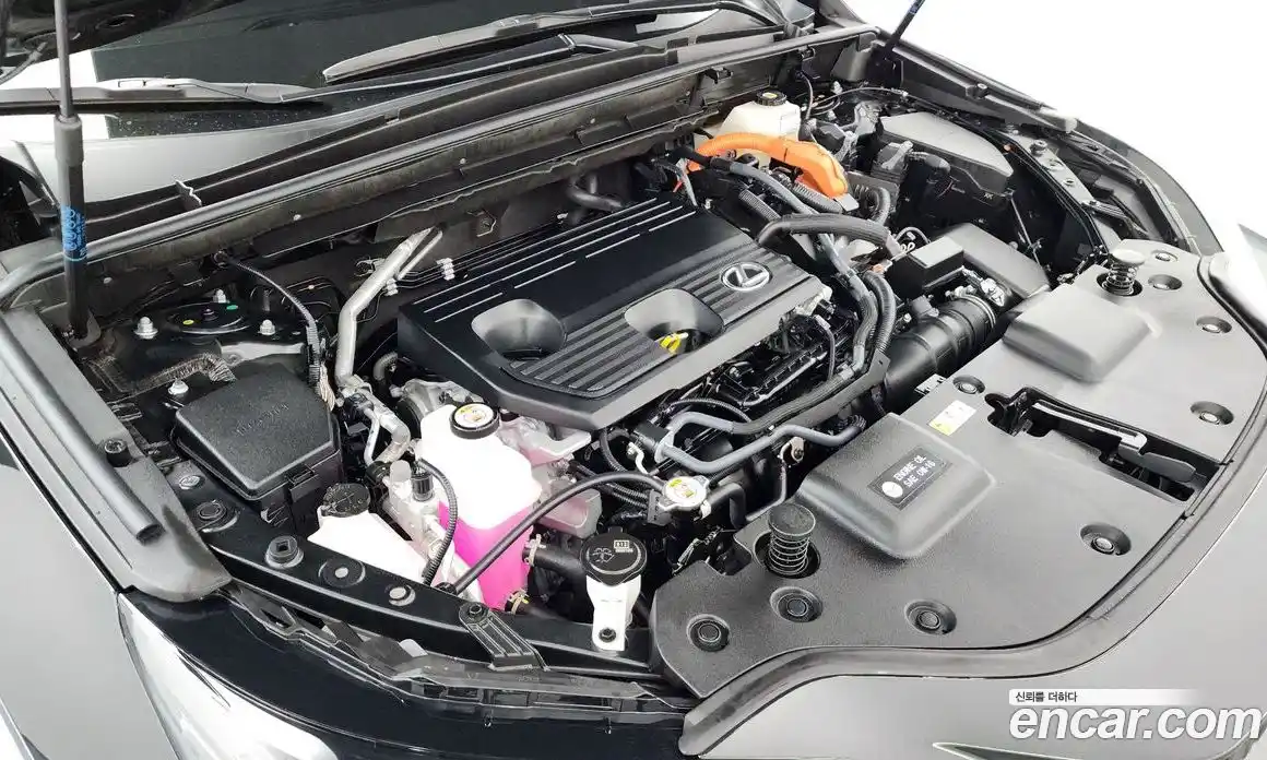 Lexus NX 2024 2.5 гидро в Москве № 499556, фото 6