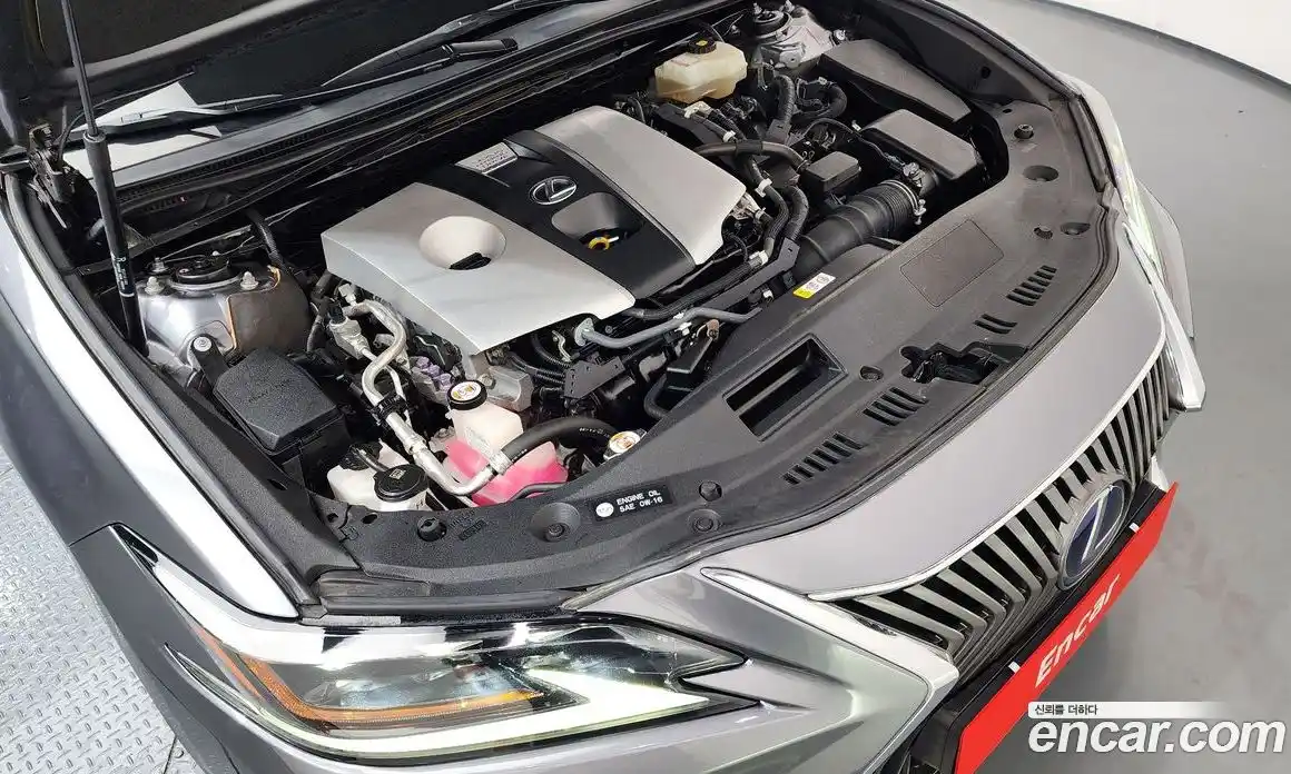 Lexus ES 2019 2.5 гидро в Москве № 766852, фото 6