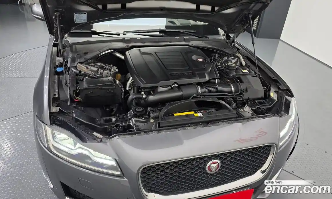 Jaguar XF 2017 2.0 гидро в Москве № 897245, фото 6