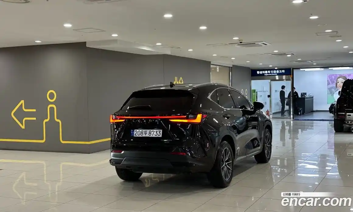 Lexus NX 2024 2.5 гидро в Москве № 168022, фото 3