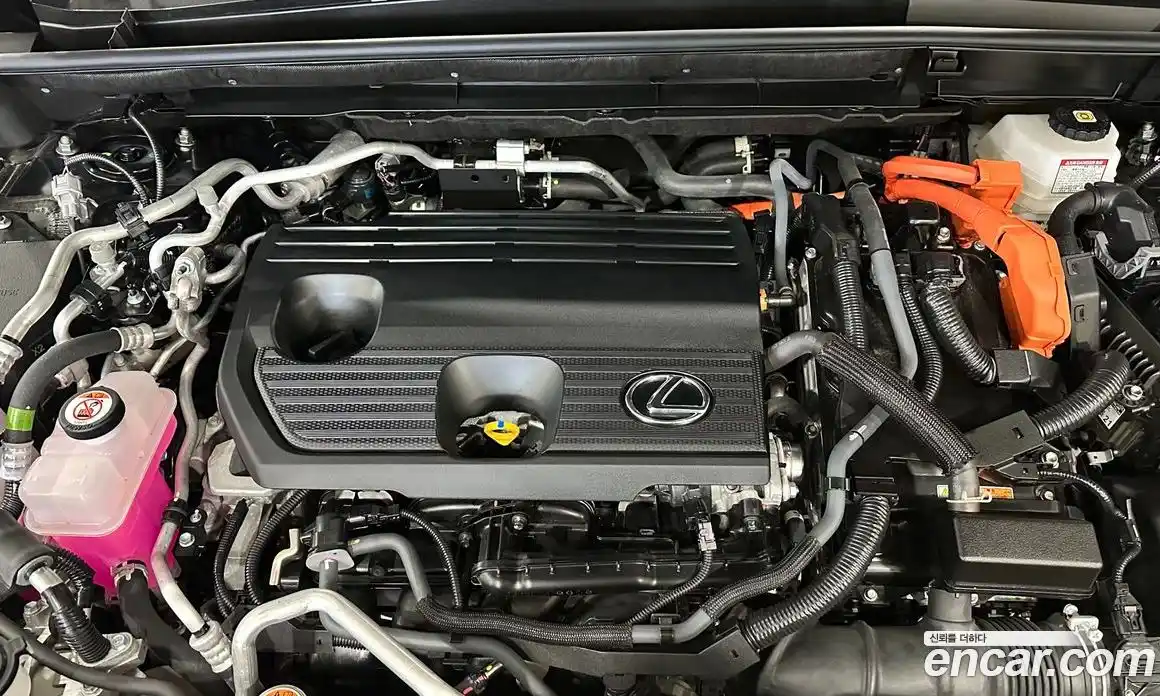 Lexus NX 2024 2.5 гидро в Москве № 168022, фото 6