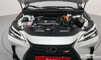 Lexus NX 2023 2.5 гидро в Москве № 168055, миниатюра 6