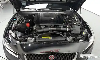 Jaguar XE 2018 2.0 гидро в Москве № 757713, миниатюра 6