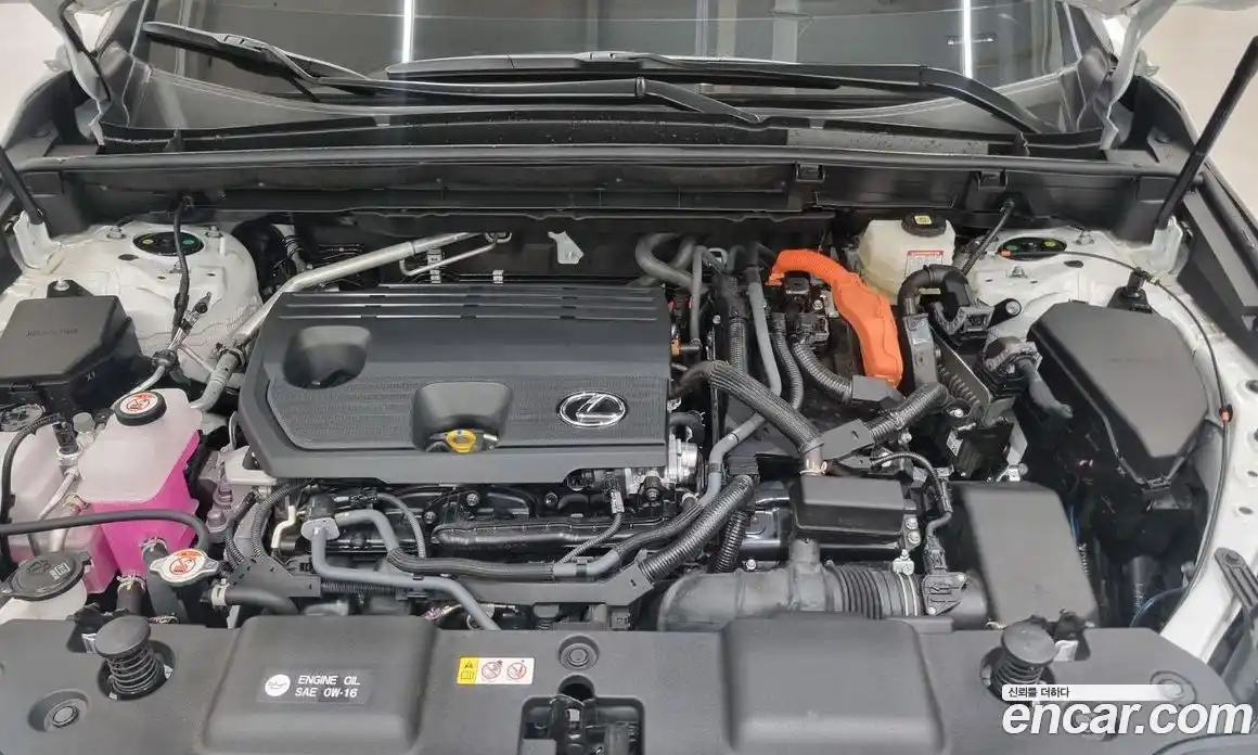 Lexus NX 2025 2.5 вариатор в Москве № 802690, фото 6
