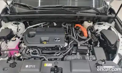 Lexus NX 2025 2.5 вариатор в Москве № 802690, миниатюра 6