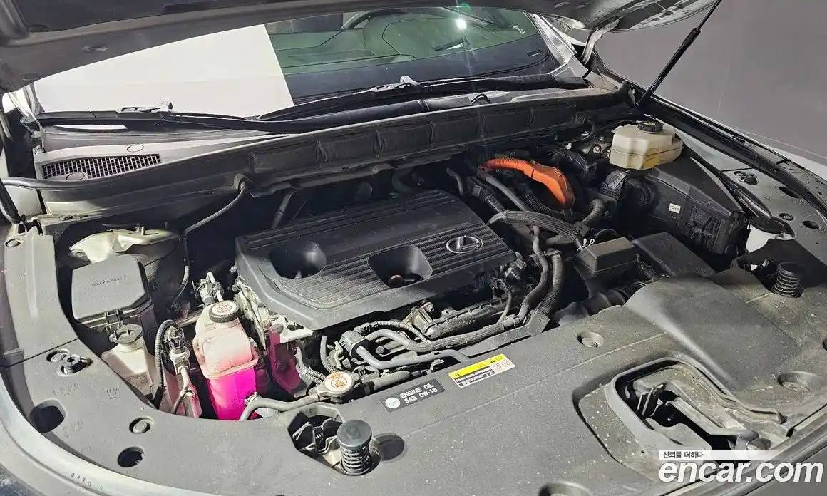 Lexus RX 2023 2.5 гидро в Москве № 214650, фото 6