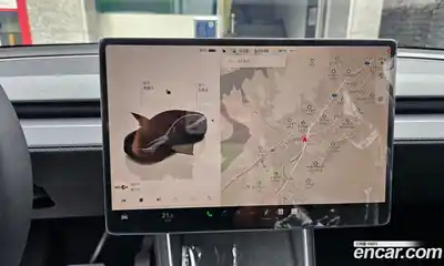 Tesla Model Y 2025 гидро в Москве № 499460, миниатюра 7