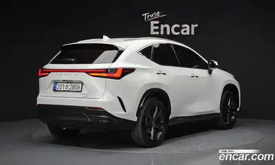 Lexus NX 2024 2.5 гидро в Москве № 198794, миниатюра 2