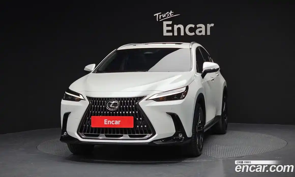 Lexus NX 2024 2.5 гидро в Москве № 198794, фото 3