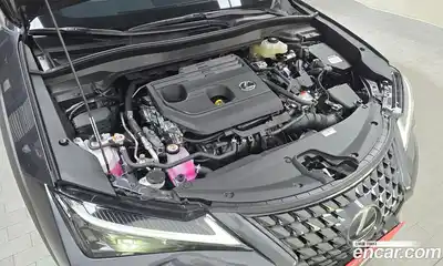 Lexus UX 2025 2.0 гидро в Москве № 275285, миниатюра 6