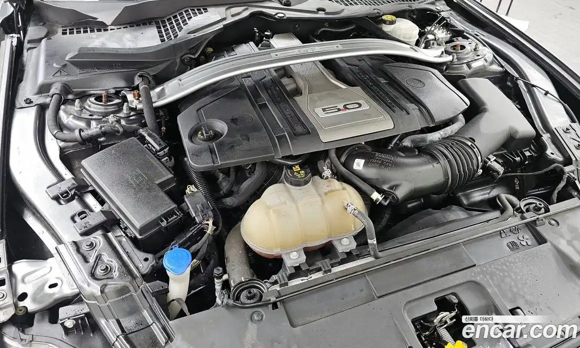 Ford Mustang 2020 5.0 гидро в Москве № 826954, фото 6