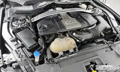 Ford Mustang 2020 5.0 гидро в Москве № 826954, миниатюра 6