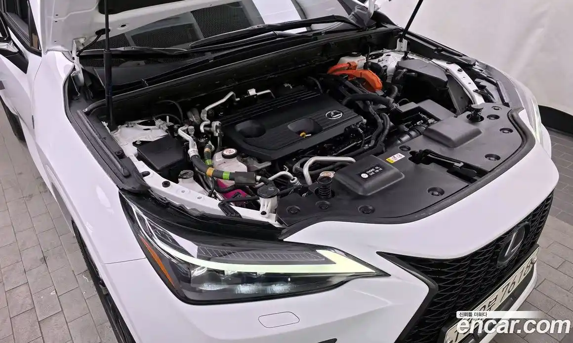 Lexus NX 2022 2.5 гидро в Москве № 862032, фото 6