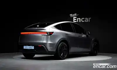 Tesla Model Y 2025 0.2 гидро в Москве № 1014179, миниатюра 2