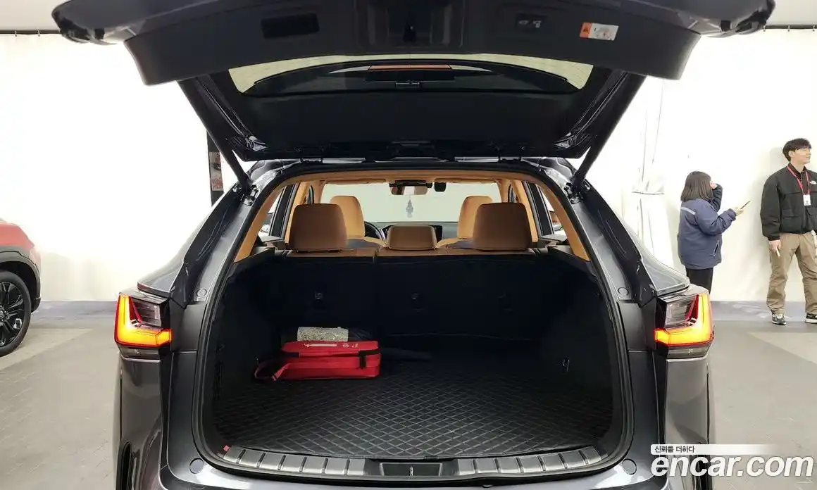 Lexus NX 2024 2.5 гидро в Москве № 168012, фото 20