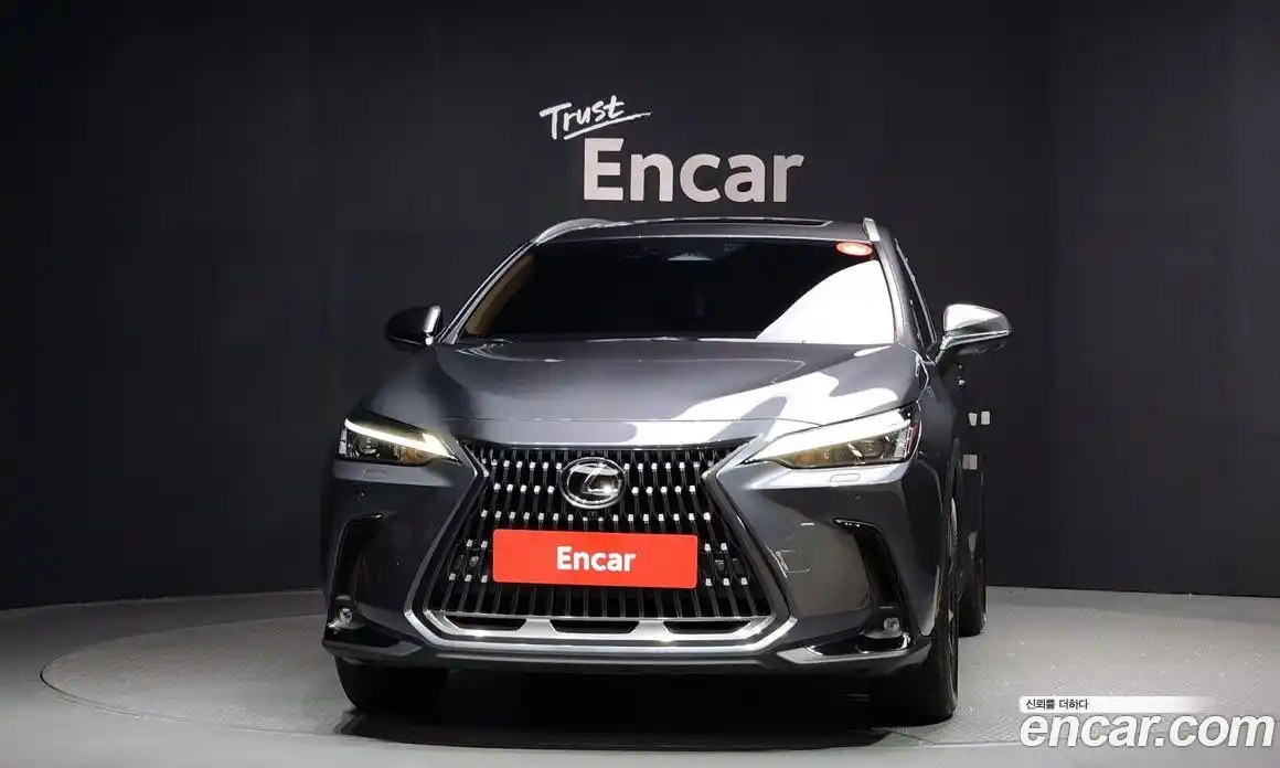 Lexus NX 2024 2.5 гидро в Москве № 168012, фото 3