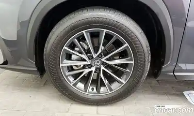 Lexus NX 2024 2.5 гидро в Москве № 168012, миниатюра 5