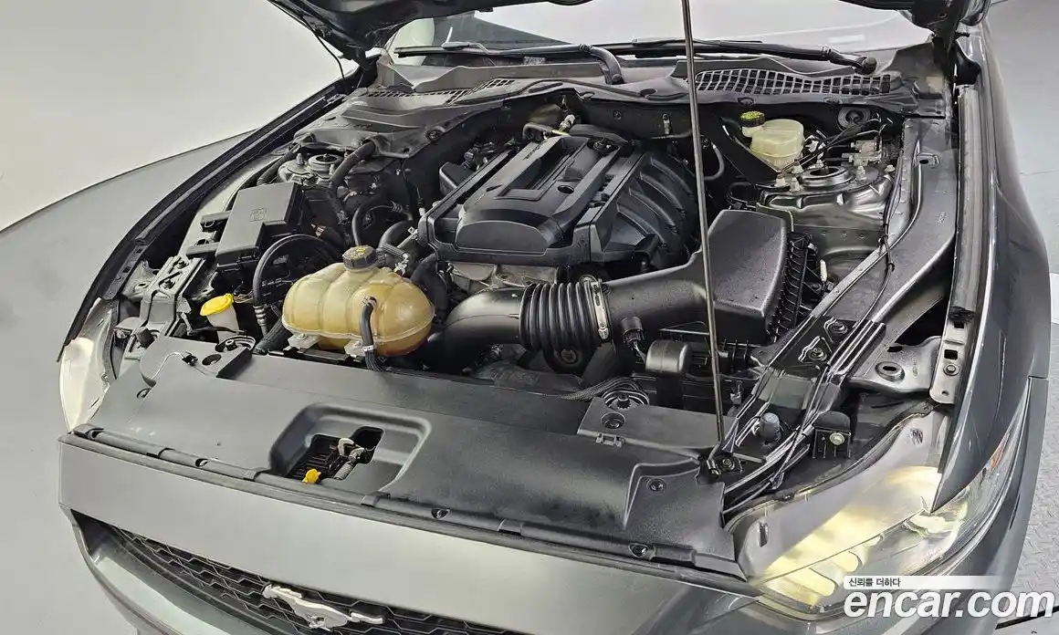 Ford Mustang 2016 2.3 гидро в Москве № 199732, фото 6