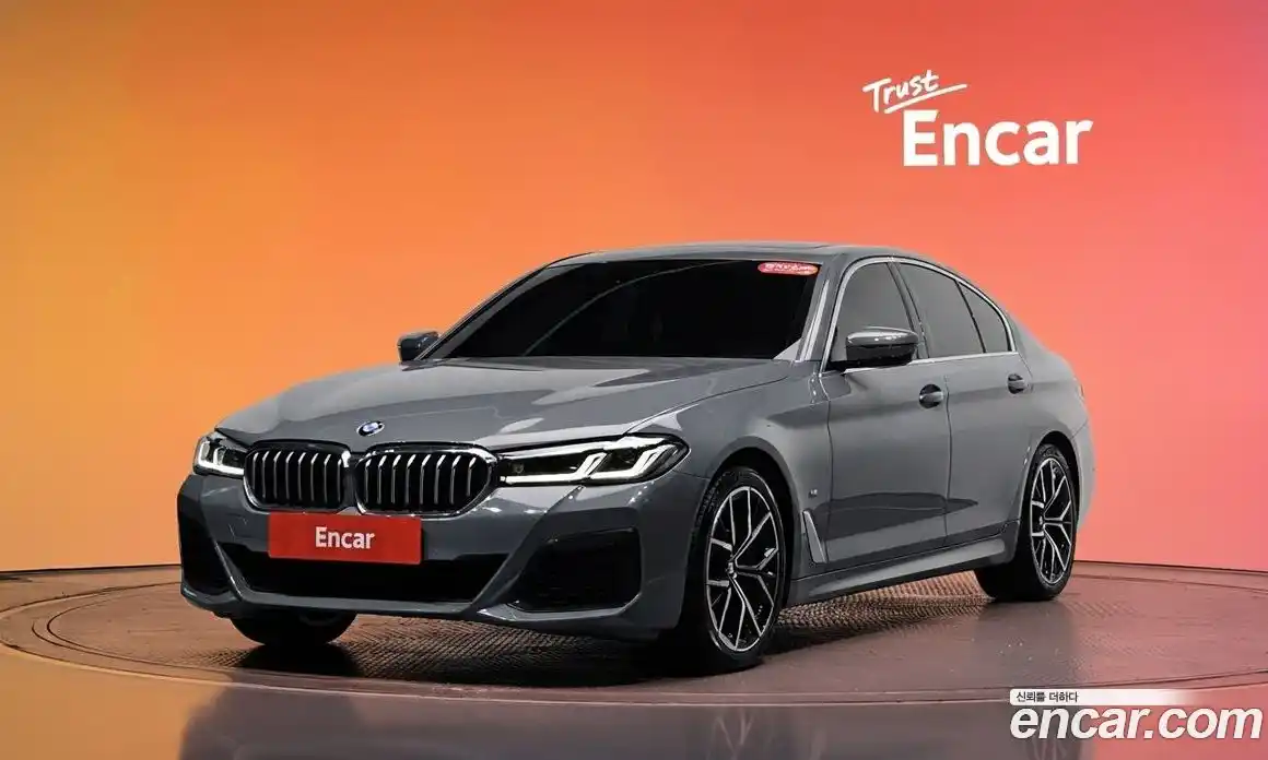 BMW 5-Series 2022 2.0 гидро, фото 20