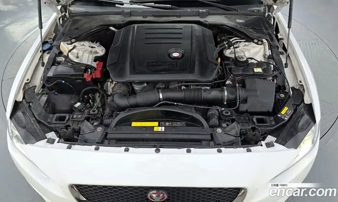 Jaguar XE 2019 2.0 гидро в Москве № 335813, фото 6