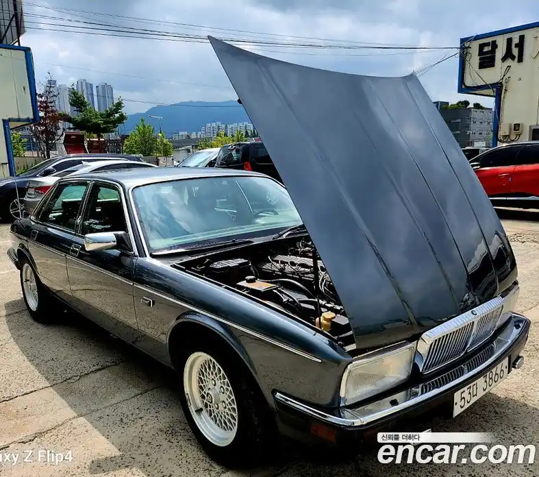 Jaguar Daimler 1990 4.2 гидро в Москве № 759021, фото 6