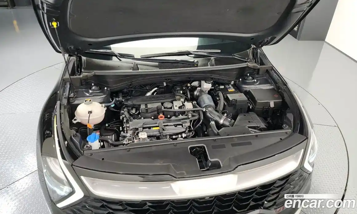 Kia Sportage 2023 1.6 гидро в Москве № 132899, фото 6