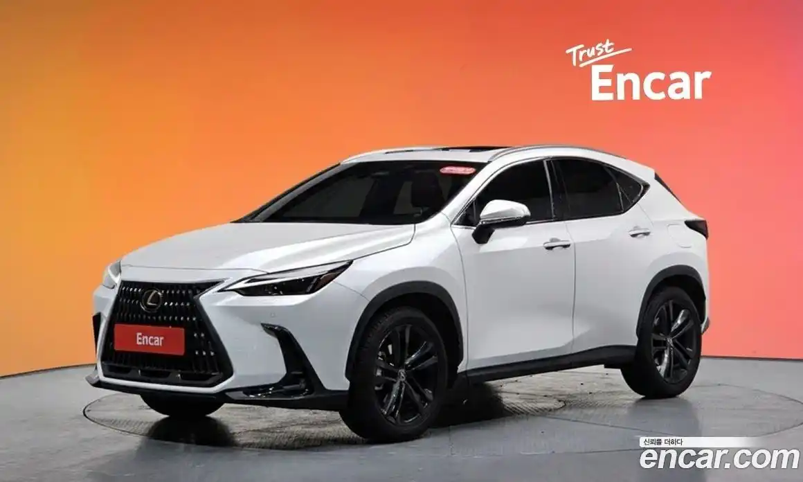 Lexus NX 2024 2.5 гидро в Москве № 168040, фото 20