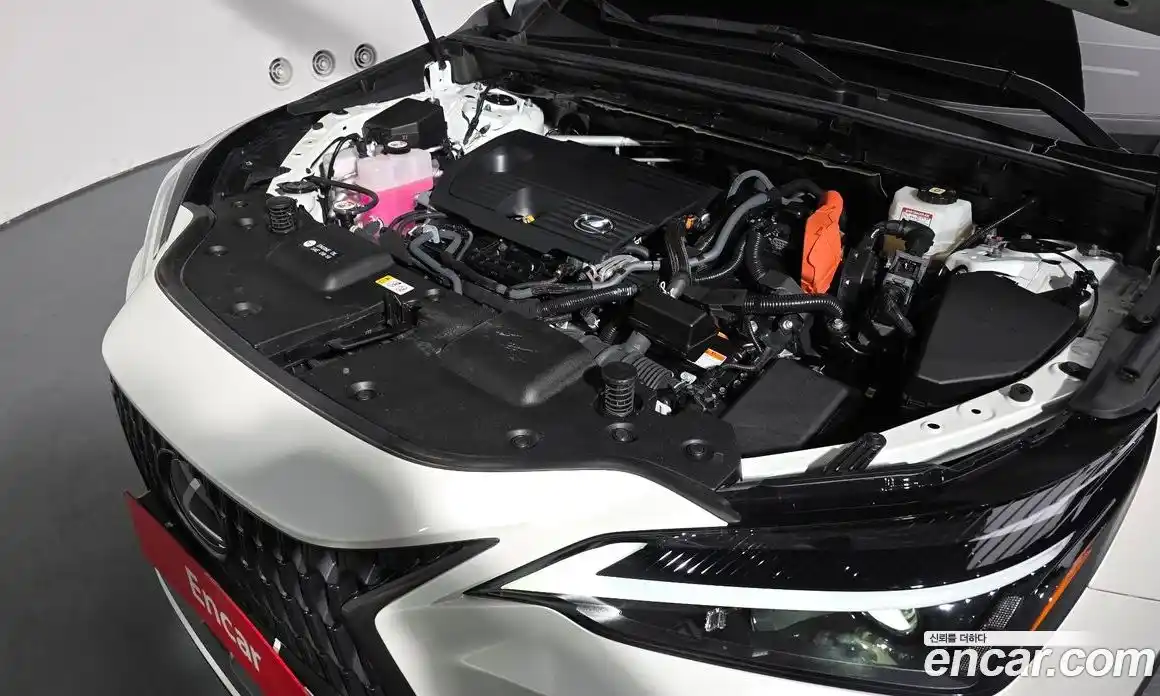 Lexus NX 2024 2.5 гидро в Москве № 168040, фото 5