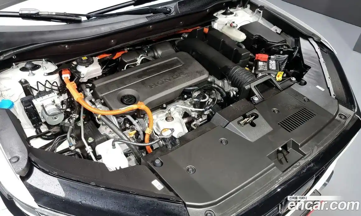 Honda CR-V 2025 2.0 гидро в Москве № 170389, фото 6