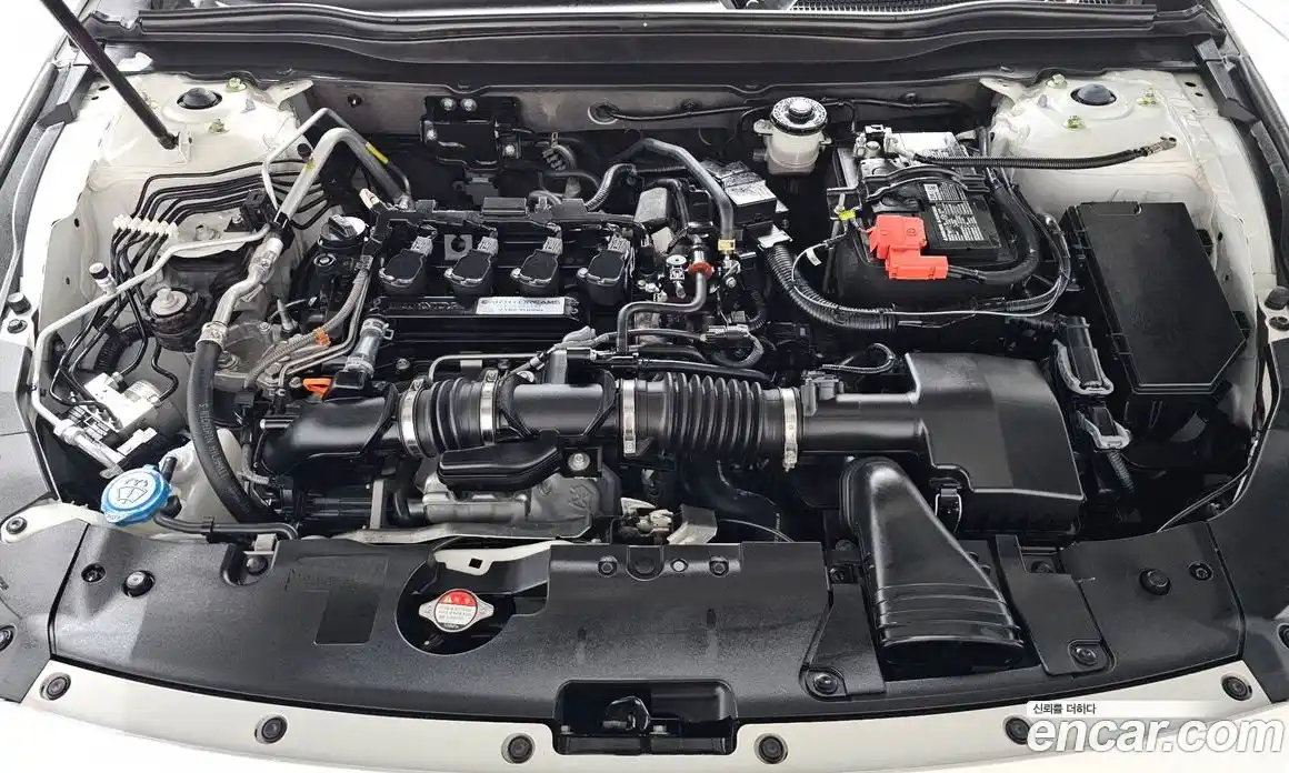 Honda Accord 2019 1.5 гидро в Москве № 384311, фото 6