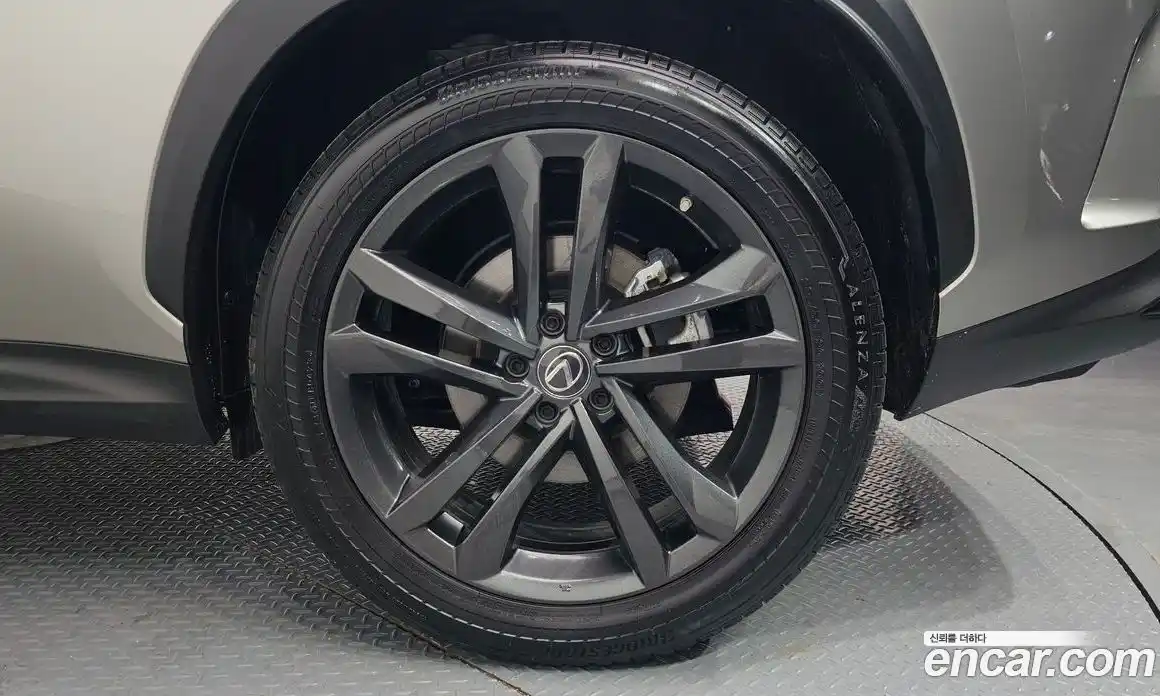 Lexus NX 2023 2.5 гидро в Москве № 595549, фото 5