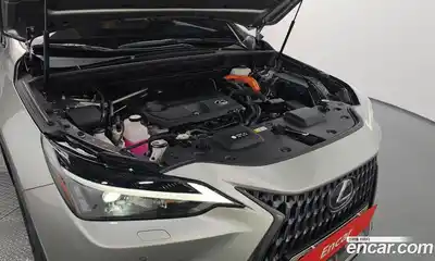 Lexus NX 2023 2.5 гидро в Москве № 595549, миниатюра 6
